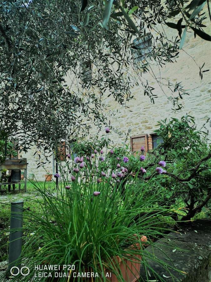 "Il Pollaio" Guests House Apartment Panicale Exterior photo