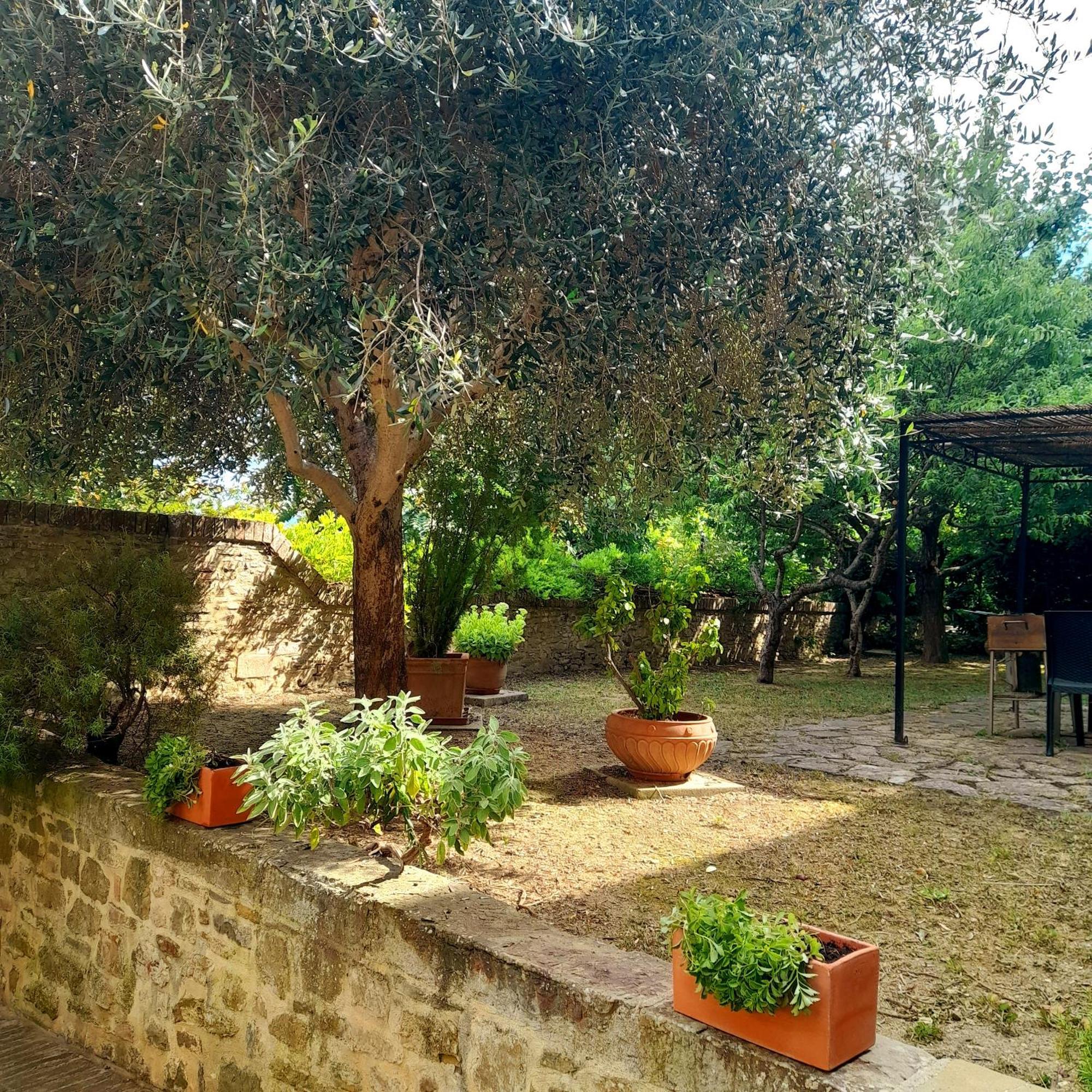"Il Pollaio" Guests House Apartment Panicale Exterior photo